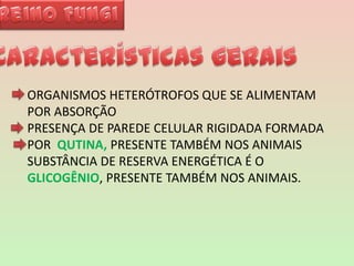 Reino FungiCaracterísticas geraisORGANISMOS HETERÓTROFOS QUE SE ALIMENTAM POR ABSORÇÃOPRESENÇA DE PAREDE CELULAR RIGIDADA FORMADA POR  QUTINA, PRESENTE TAMBÉM NOS ANIMAISSUBSTÂNCIA DE RESERVA ENERGÉTICA É O  GLICOGÊNIO, PRESENTE TAMBÉM NOS ANIMAIS. 