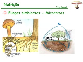 Nutrição
                           Prof. Emanuel



 Fungos simbiontes - Micorrizas

                             N2
 