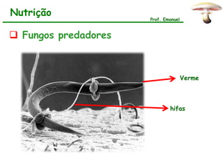 Nutrição
                      Prof. Emanuel



 Fungos predadores



                                      Verme



                              hifas
 
