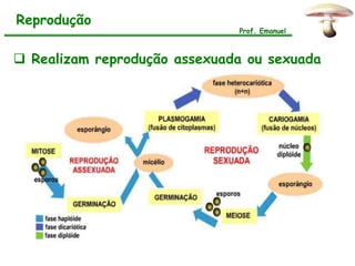 Reprodução
                              Prof. Emanuel



 Realizam reprodução assexuada ou sexuada
 