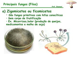 Principais fungos (Filos)
                                      Prof. Emanuel


a) Zigomicetos ou ficomicetos
  • São fungos primitivos com hifas cenocíticas
  • Sem corpo de frutificação
  • Ex. Micorrizas,bolor (produção de queijos,
  medicamentos e molho de soja)
 