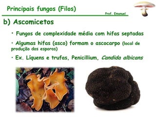 Principais fungos (Filos)
                                       Prof. Emanuel


b) Ascomicetos
  • Fungos de complexidade média com hifas septadas
  • Algumas hifas (asco) formam o ascocarpo (local de
  produção dos esporos)

  • Ex. Líquens e trufas, Penicillium, Candida albicans
 