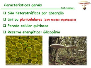 Características gerais
                                       Prof. Emanuel


 São heterotróficos por absorção
 Uni ou pluricelulares   (Sem tecidos organizados)

 Parede celular quitinosa
 Reserva energética: Glicogênio
 