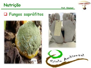 Nutrição
                      Prof. Emanuel



 Fungos saprófitos
 