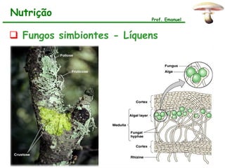 Nutrição
                           Prof. Emanuel



 Fungos simbiontes - Líquens
 