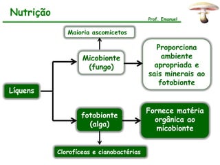 Nutrição
                                          Prof. Emanuel


              Maioria ascomicetos

                                             Proporciona
                   Micobionte                 ambiente
                    (fungo)                 apropriada e
                                          sais minerais ao
                                             fotobionte
Líquens

                                          Fornece matéria
                   fotobionte
                                            orgânica ao
                     (alga)
                                             micobionte


           Clorofíceas e cianobactérias
 