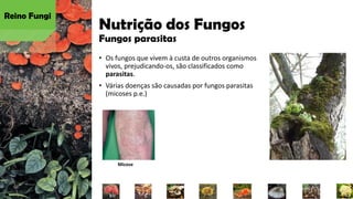 Nutrição dos Fungos
Fungos parasitas
• Os fungos que vivem à custa de outros organismos
vivos, prejudicando-os, são classificados como
parasitas.
• Várias doenças são causadas por fungos parasitas
(micoses p.e.)
Reino Fungi
Micose
 