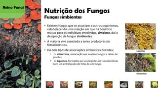 Nutrição dos Fungos
Fungos simbiontes
• Existem fungos que se associam a outros organismos,
estabelecendo uma relação em que há benefício
mútuo para os indivíduos envolvidos, simbiose, daí a
designação de fungos simbiontes.
• A maioria vive associada a seres produtores ou
fotossintéticos.
• Há dois tipos de associações simbióticas distintas:
• os micorrizos, associação que envolve fungos e raízes de
plantas;
• os líquenes, formados por associações de cianobactérias
com um entrelaçado de hifas de um fungo.
Reino Fungi
Líquenes
Micorrizos
 