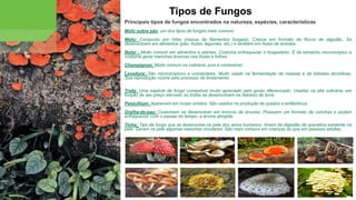 Principais tipos de fungos encontrados na natureza, espécies, características
Mofo sobre pão: um dos tipos de fungos mais comuns
Mofo: Composto por hifas (massa de filamentos fungais). Cresce em formato de flocos de algodão. Se
desenvolvem em alimentos (pão, frutas, legumes, etc.) e também em fezes de animais.
Bolor : Muito comum em alimentos e plantas. Costuma enfraquecer o hospedeiro. É de tamanho microscópico e
costuma gerar manchas brancas nas frutas e folhas.
Champignon: Muito comum na culinária, pois é comestível.
Levedura: São microscópicos e unicelulares. Muito usado na fermentação de massas e de bebidas alcoólicas.
Sua reprodução ocorre pelo processo de brotamento.
Trufa: Uma espécie de fungo comestível muito apreciado pelo gosto diferenciado. Usadas na alta culinária, em
função de seu preço elevado, as trufas se desenvolvem na debaixo da terra.
Penicillium: Aparecem em locais úmidos. São usados na produção de queijos e antibióticos.
Orelha-de-pau: Costumam se desenvolver em troncos de árvores. Possuem um formato de conchas e podem
enfraquecer, com o passar do tempo, a árvore atingida.
Tinha: Tipo de fungo que se desenvolve na pele dos seres humanos. Vivem da digestão da queratina existente na
pele. Geram na pele algumas manchas circulares. São mais comuns em crianças do que em pessoas adultas
Tipos de Fungos
 