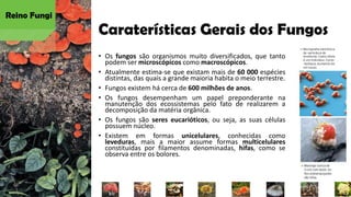 Caraterísticas Gerais dos Fungos
• Os fungos são organismos muito diversificados, que tanto
podem ser microscópicos como macroscópicos.
• Atualmente estima-se que existam mais de 60 000 espécies
distintas, das quais a grande maioria habita o meio terrestre.
• Fungos existem há cerca de 600 milhões de anos.
• Os fungos desempenham um papel preponderante na
manutenção dos ecossistemas pelo fato de realizarem a
decomposição da matéria orgânica.
• Os fungos são seres eucarióticos, ou seja, as suas células
possuem núcleo.
• Existem em formas unicelulares, conhecidas como
leveduras, mais a maior assume formas multicelulares
constituídas por filamentos denominadas, hifas, como se
observa entre os bolores.
Reino Fungi
 