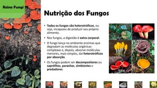 Nutrição dos Fungos
• Todos os fungos são heterotróficos, ou
seja, incapazes de produzir seu próprio
alimento.
• Nos fungos, a digestão é extra corporal.
• O fungo lança no ambiente enzimas que
degradam as moléculas orgânicas
complexas e, depois, absorve moléculas
menores, mais simples, daí heterotróficos
por absorção.
• Os fungos podem ser decompositores ou
saprófitos, parasitas, simbiontes e
predadores.
Reino Fungi
 