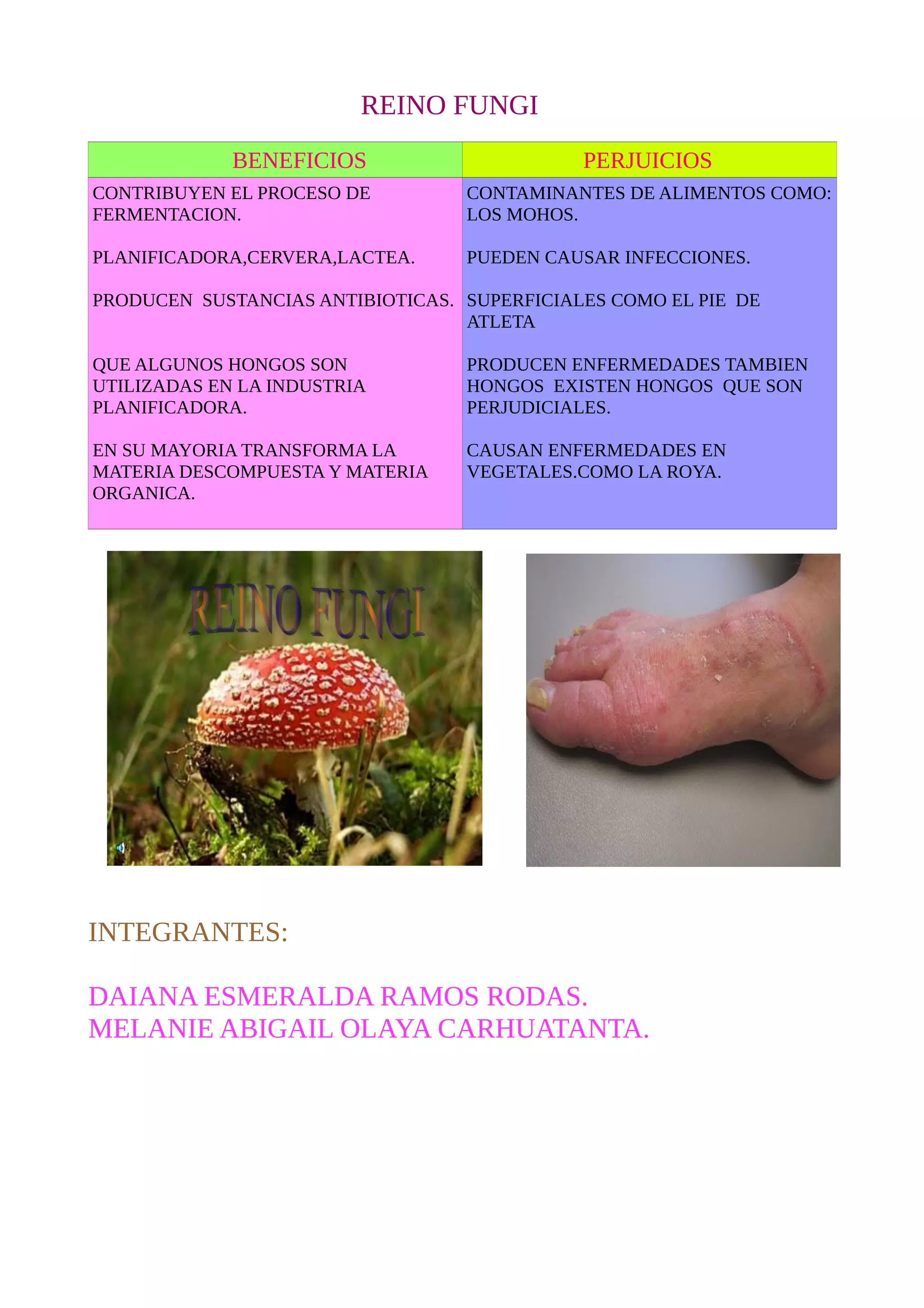 Reino fungi 1 b | DOC