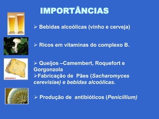 IMPORTÂNCIAS
 Bebidas alcoólicas (vinho e cerveja)


 Ricos em vitaminas do complexo B.


 Queijos –Camembert, Roquefort e
Gorgonzola
Fabricação de Pães (Sacharomyces
cerevisiae) e bebidas alcoólicas.

 Produção de antibióticos (Penicillium)
 