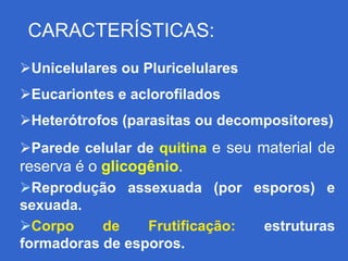 CARACTERÍSTICAS:
Unicelulares ou Pluricelulares
Eucariontes e aclorofilados
Heterótrofos (parasitas ou decompositores)
Parede celular de quitina e seu material de
reserva é o glicogênio.
Reprodução assexuada (por esporos) e
sexuada.
Corpo     de    Frutificação: estruturas
formadoras de esporos.
 