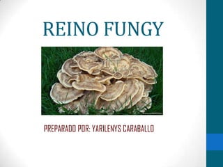 REINO FUNGY

PREPARADO POR: YARILENYS CARABALLO

 