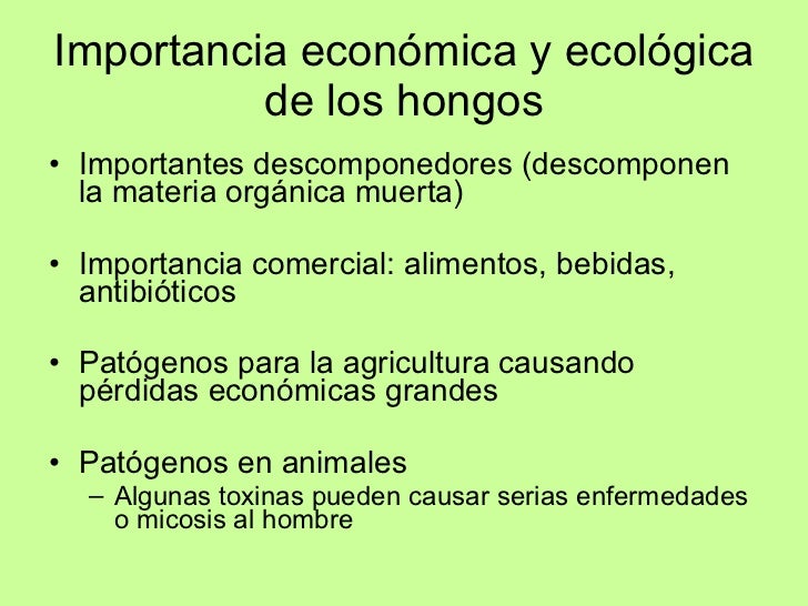 Reino Hongo.