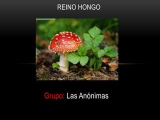 REINO HONGO




Grupo: Las Anónimas
 