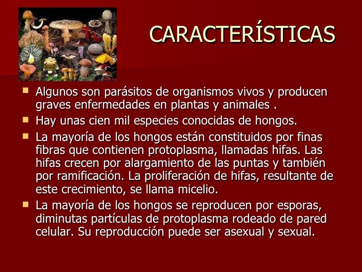 Es subido alt a los helmintos