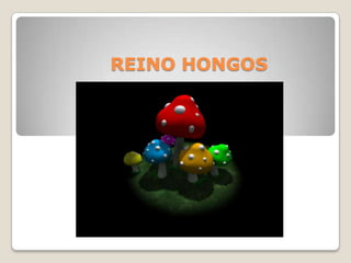 REINO HONGOS
 
