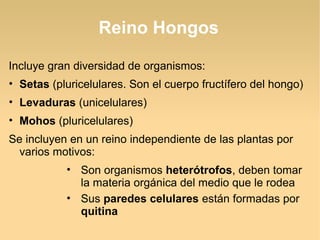 Reino Hongos
Incluye gran diversidad de organismos:
• Setas (pluricelulares. Son el cuerpo fructífero del hongo)
• Levaduras (unicelulares)
• Mohos (pluricelulares)
Se incluyen en un reino independiente de las plantas por
varios motivos:
• Son organismos heterótrofos, deben tomar
la materia orgánica del medio que le rodea
• Sus paredes celulares están formadas por
quitina
 