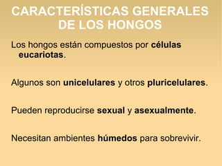 CARACTERÍSTICAS GENERALES
DE LOS HONGOS
Los hongos están compuestos por células
eucariotas.
Algunos son unicelulares y otros pluricelulares.
Pueden reproducirse sexual y asexualmente.
Necesitan ambientes húmedos para sobrevivir.
 
