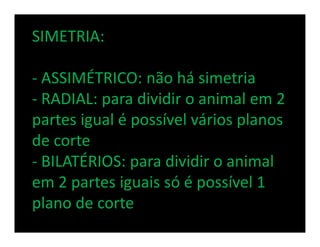 SIMETRIA:

- ASSIMÉTRICO: não há simetria
- RADIAL: para dividir o animal em 2
partes igual é possível vários planos
de co...