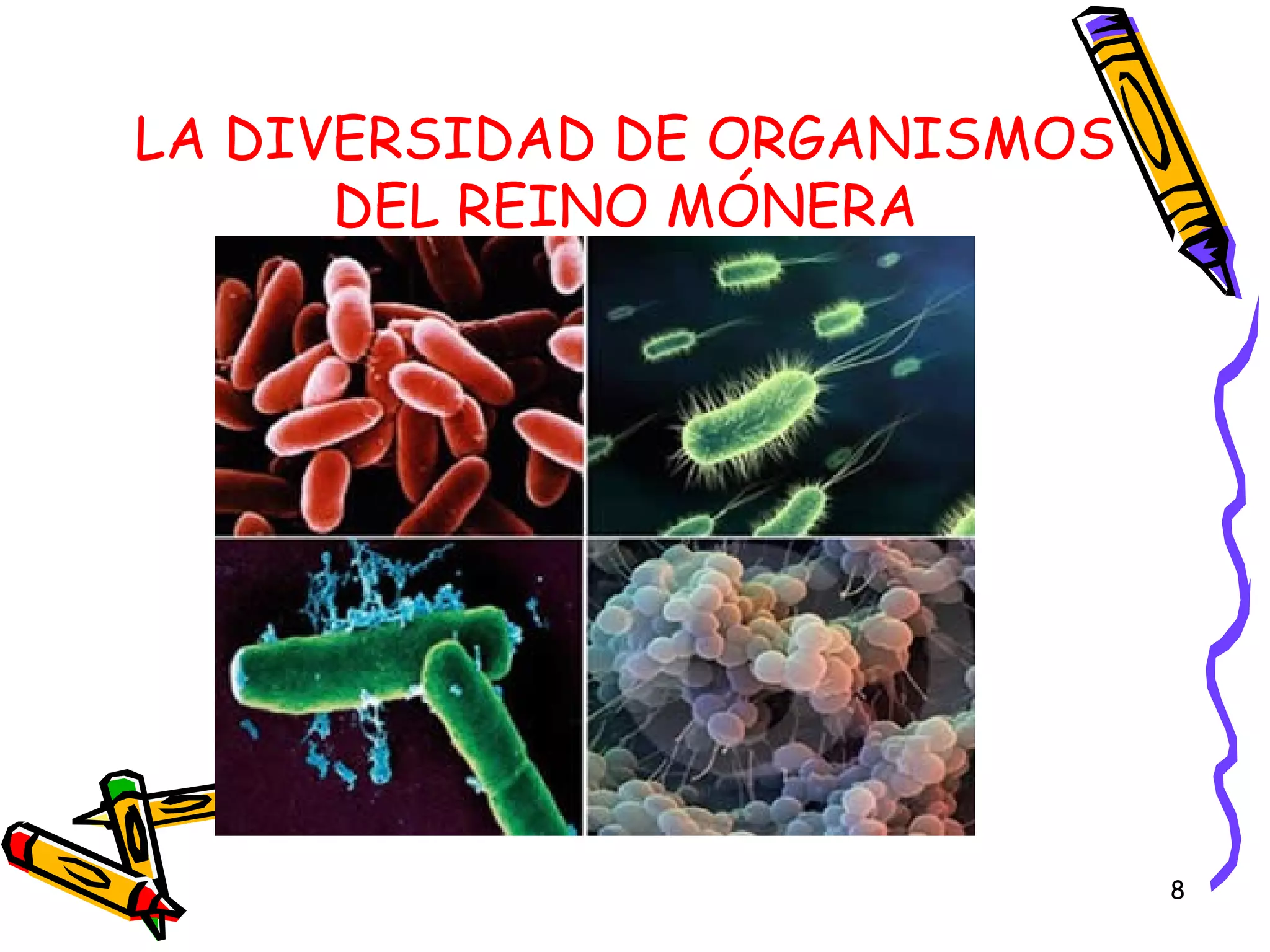 Reino mónera | PPT