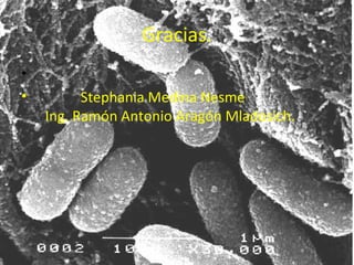 Gracias. Stephania Medina Nesme   Ing. Ramón Antonio Aragón Mladosich. 