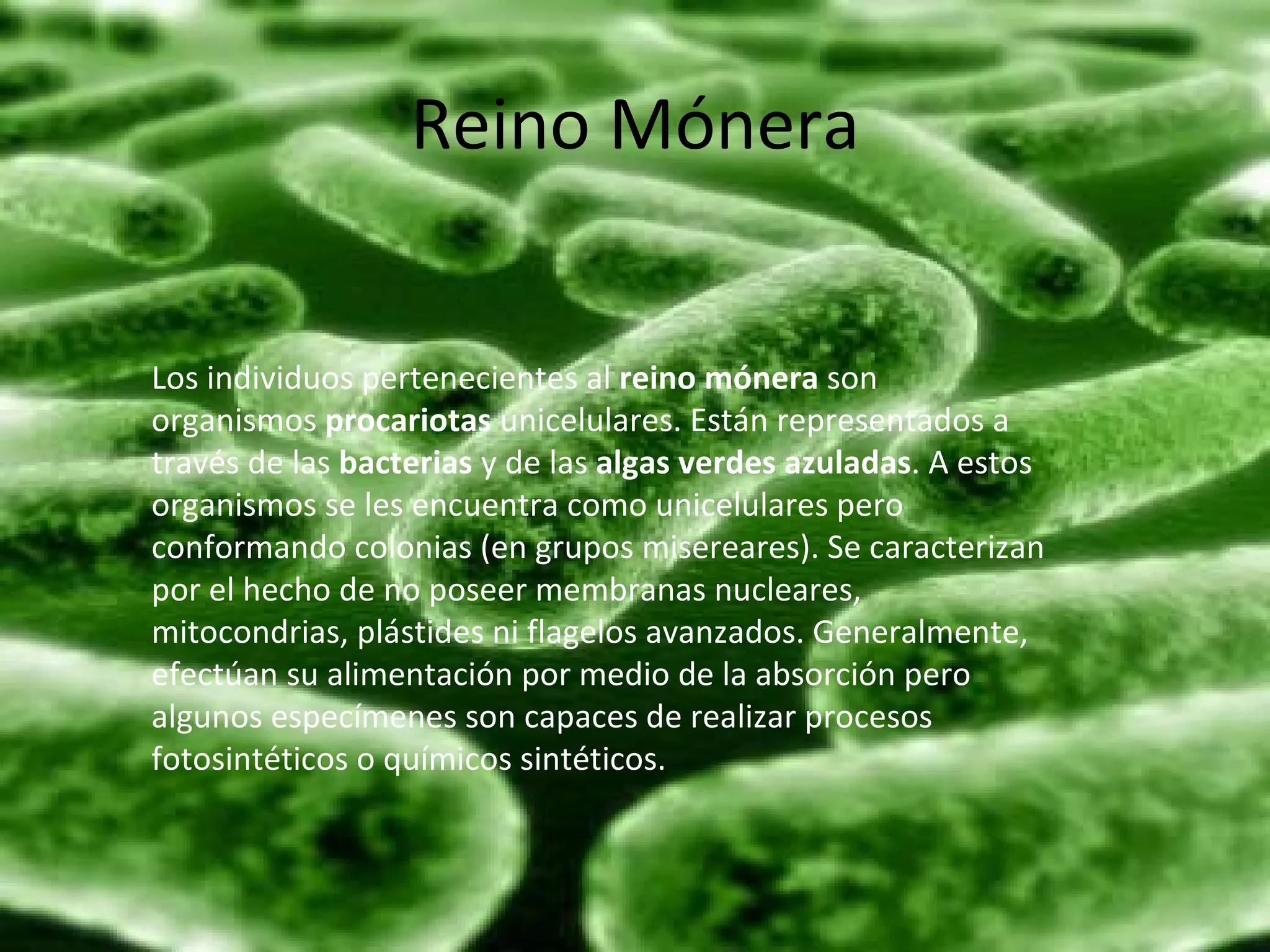 Reino mónera | PPT