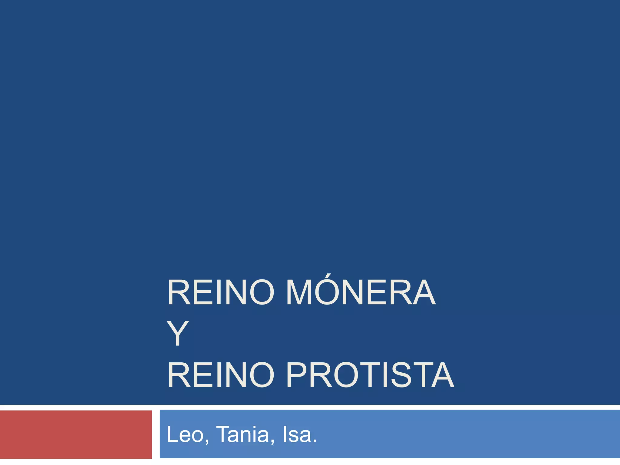 Reino mónera y reino protista biologia | PPTX