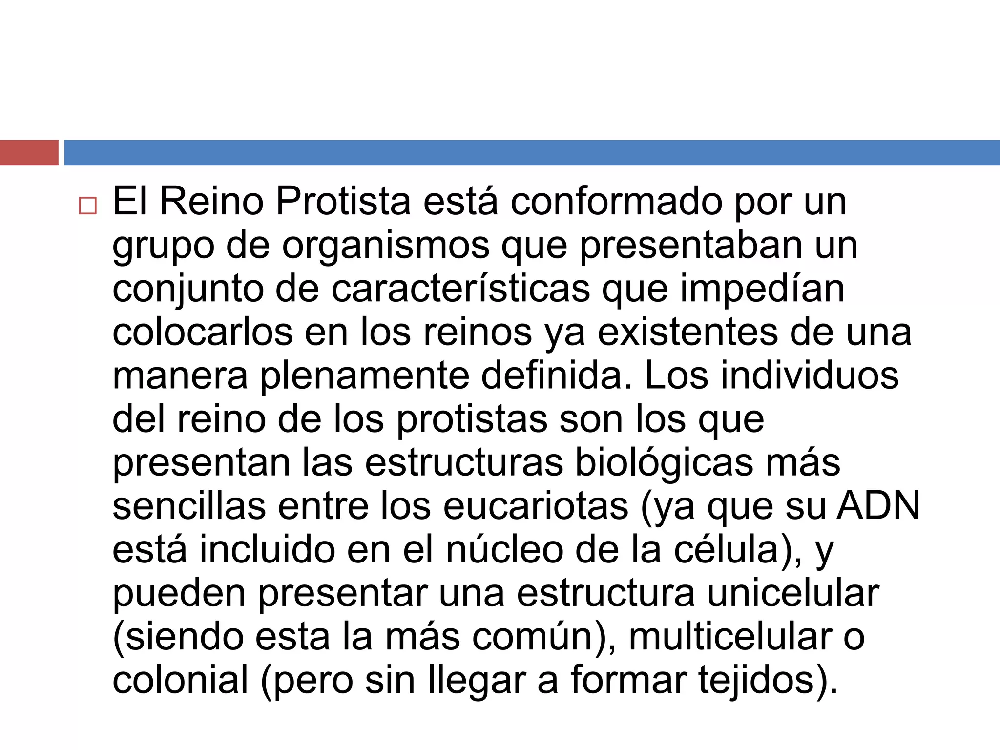 Reino mónera y reino protista biologia | PPTX