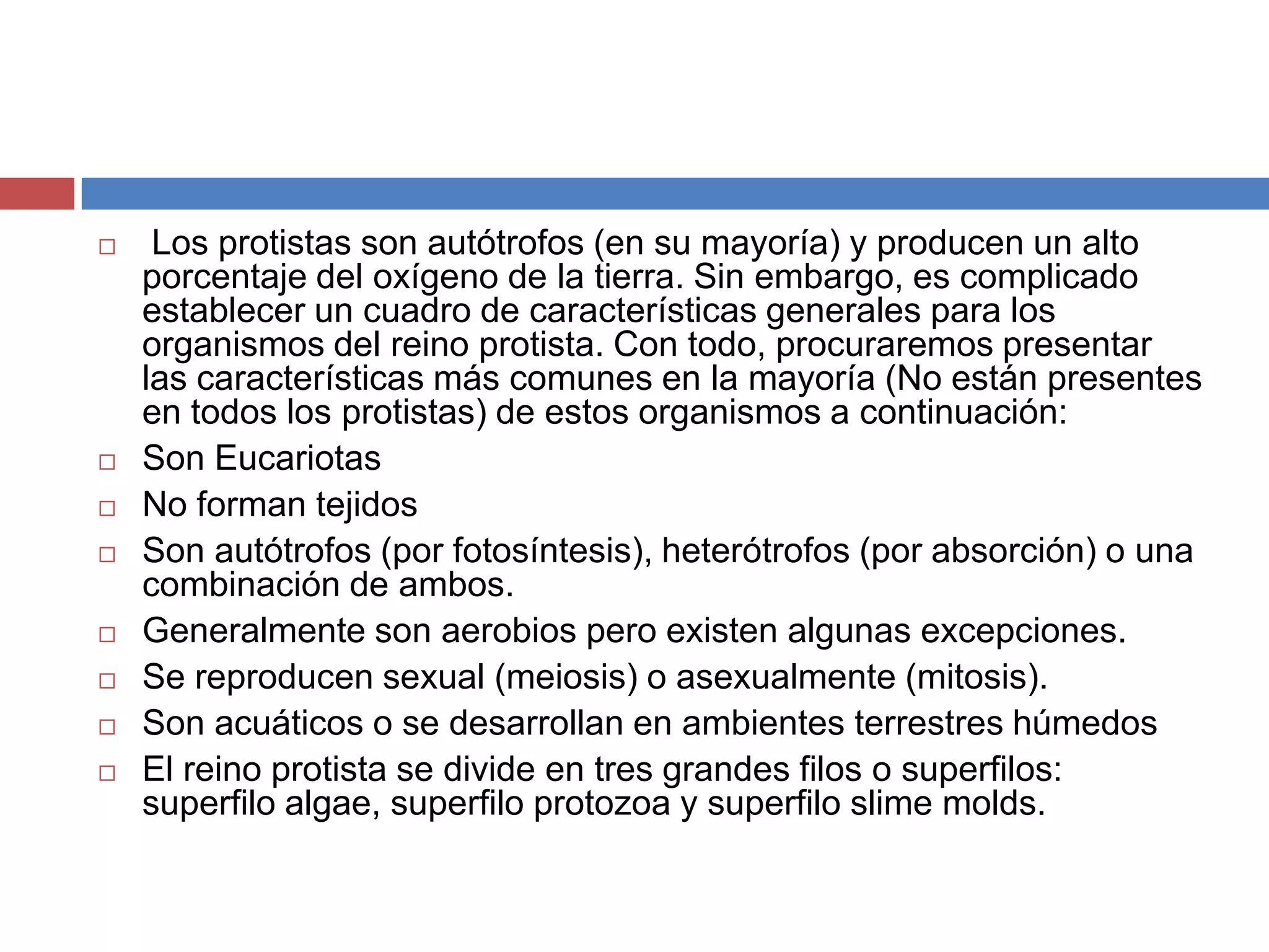 Reino mónera y reino protista biologia | PPTX