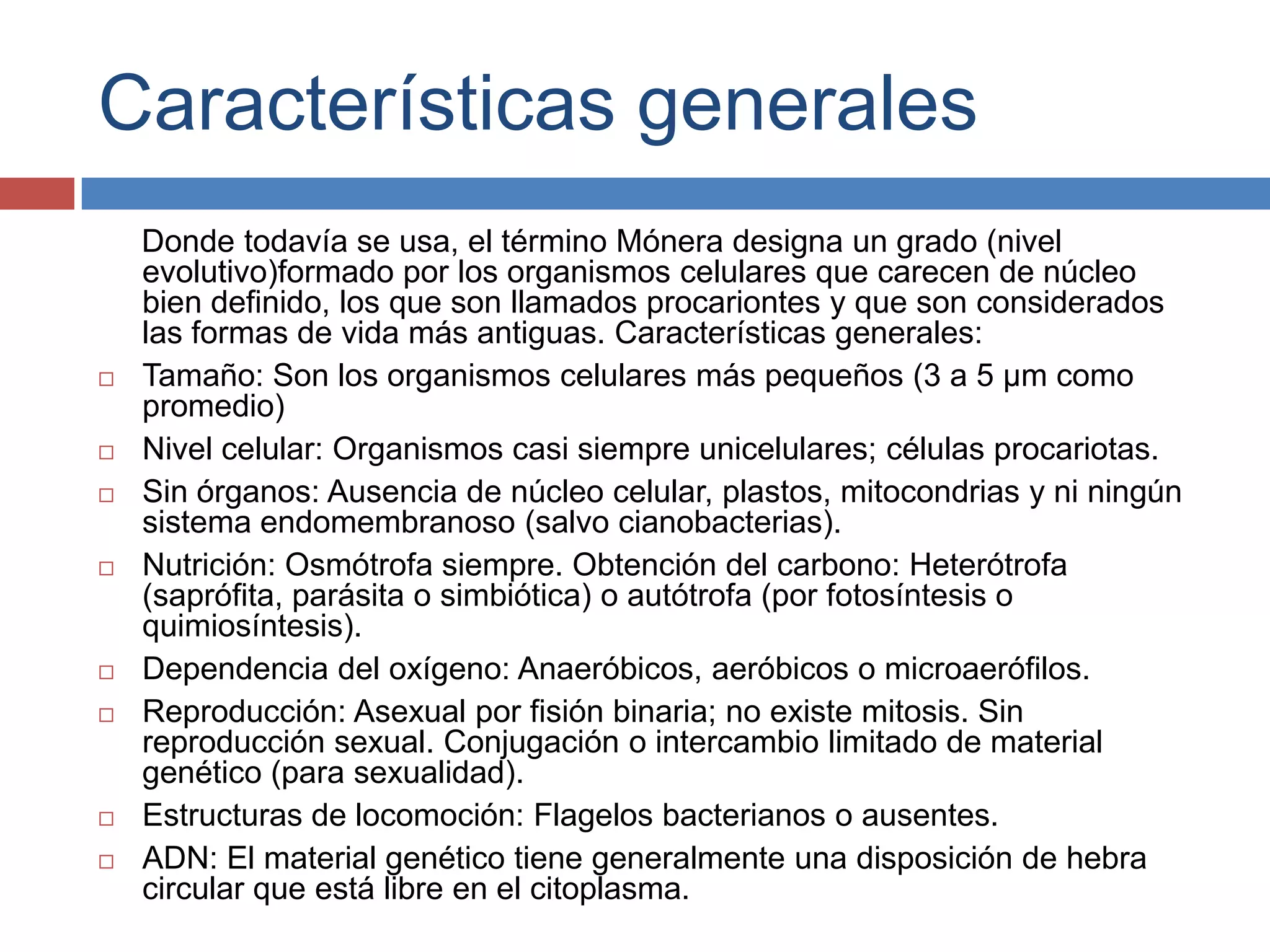 Reino mónera y reino protista biologia | PPTX