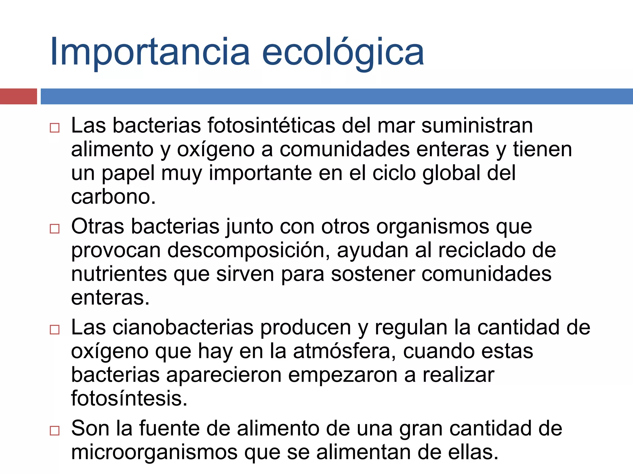 Reino mónera y reino protista biologia | PPTX