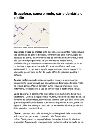 Brucelose, cancro mole, cárie dentária e
cistite

Streptococcus mutans: bactérias responsáveis pela cárie.

Brucelose (febre de malta): esta doença, cujos agentes responsáveis
são bactérias do gênero Brucella, é transmitida pela manipulação ou
ingestão de carne, leite ou derivados de animais contaminados, e que
não passaram por processo de pasteurização. Desta forma,
profissionais que trabalham com estes animais têm mais riscos de se
contaminarem por esta bactéria. Pode se manifestar de forma
assintomática ou, na forma aguda, o paciente apresenta acessos de
febre alta, geralmente ao fim da tarde, além de calafrios, palidez e
cefaleia.
Cancro mole: causado pela Hemophilus ducreyi, é uma doença
sexualmente transmissível que causa lesões dolorosas, de base mole,
na região genital. Podem também surgir ínguas purulentas. Para
tratamento, é necessário o uso de antibióticos e abstinência sexual.
Cárie dentária: é geralmente o resultado de uma higiene bucal não
satisfatória. Como a Streptococcus mutans, típica da cavidade bucal, se
alimenta de carboidratos, tal condição permite com que esta tenha uma
grande disponibilidade destas substâncias orgânicas. Assim, para sua
digestão, libera ácidos que destroem os tecidos dentários e provocam
deteriorações características.
Cistite: caracterizada pela inflamação da bexiga urinária, causando
ardor ao urinar, pode ser provocada pela Escherichia
coli ou Staphylococcus saprophyticus: bactérias típicas da abertura
urogenital. Acometendo principalmente mulheres, a transmissão se dá

 