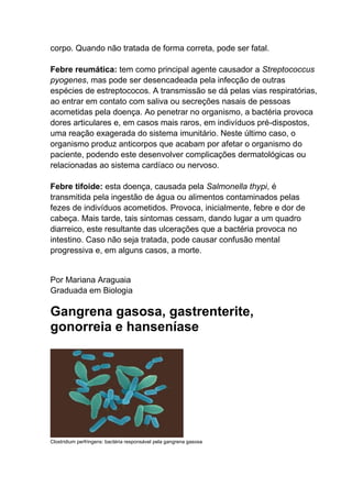 corpo. Quando não tratada de forma correta, pode ser fatal.
Febre reumática: tem como principal agente causador a Streptococcus
pyogenes, mas pode ser desencadeada pela infecção de outras
espécies de estreptococos. A transmissão se dá pelas vias respiratórias,
ao entrar em contato com saliva ou secreções nasais de pessoas
acometidas pela doença. Ao penetrar no organismo, a bactéria provoca
dores articulares e, em casos mais raros, em indivíduos pré-dispostos,
uma reação exagerada do sistema imunitário. Neste último caso, o
organismo produz anticorpos que acabam por afetar o organismo do
paciente, podendo este desenvolver complicações dermatológicas ou
relacionadas ao sistema cardíaco ou nervoso.
Febre tifoide: esta doença, causada pela Salmonella thypi, é
transmitida pela ingestão de água ou alimentos contaminados pelas
fezes de indivíduos acometidos. Provoca, inicialmente, febre e dor de
cabeça. Mais tarde, tais sintomas cessam, dando lugar a um quadro
diarreico, este resultante das ulcerações que a bactéria provoca no
intestino. Caso não seja tratada, pode causar confusão mental
progressiva e, em alguns casos, a morte.

Por Mariana Araguaia
Graduada em Biologia

Gangrena gasosa, gastrenterite,
gonorreia e hanseníase

Clostridium perfringens: bactéria responsável pela gangrena gasosa

 