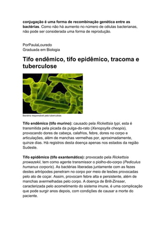 conjugação é uma forma de recombinação genética entre as
bactérias. Como não há aumento no número de células bacterianas,
não pode ser considerada uma forma de reprodução.

PorPaulaLouredo
Graduada em Biologia

Tifo endêmico, tifo epidêmico, tracoma e
tuberculose

Bactéria responsável pela tuberculose.

Tifo endêmico (tifo murino): causado pela Rickettsia typi, esta é
transmitida pela picada da pulga-do-rato (Xenopsylla cheopis),
provocando dores de cabeça, calafrios, febre, dores no corpo e
articulações, além de manchas vermelhas por, aproximadamente,
quinze dias. Há registros desta doença apenas nos estados da região
Sudeste.
Tifo epidêmico (tifo exantemático): provocado pela Rickettsia
prowazekii, tem como agente transmissor o piolho-do-corpo (Pediculus
humanus corporis). As bactérias liberadas juntamente com as fezes
destes artrópodes penetram no corpo por meio de lesões provocadas
pelo ato de coçar. Assim, provocam febre alta e persistente, além de
manchas avermelhadas pelo corpo. A doença de Brill-Zinsser,
caracterizada pelo acometimento do sistema imune, é uma complicação
que pode surgir anos depois, com condições de causar a morte do
paciente.

 
