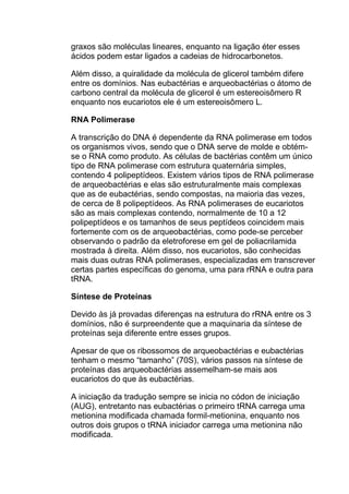 graxos são moléculas lineares, enquanto na ligação éter esses
ácidos podem estar ligados a cadeias de hidrocarbonetos.
Além disso, a quiralidade da molécula de glicerol também difere
entre os domínios. Nas eubactérias e arqueobactérias o átomo de
carbono central da molécula de glicerol é um estereoisômero R
enquanto nos eucariotos ele é um estereoisômero L.
RNA Polimerase
A transcrição do DNA é dependente da RNA polimerase em todos
os organismos vivos, sendo que o DNA serve de molde e obtémse o RNA como produto. As células de bactérias contêm um único
tipo de RNA polimerase com estrutura quaternária simples,
contendo 4 polipeptídeos. Existem vários tipos de RNA polimerase
de arqueobactérias e elas são estruturalmente mais complexas
que as de eubactérias, sendo compostas, na maioria das vezes,
de cerca de 8 polipeptídeos. As RNA polimerases de eucariotos
são as mais complexas contendo, normalmente de 10 a 12
polipeptídeos e os tamanhos de seus peptídeos coincidem mais
fortemente com os de arqueobactérias, como pode-se perceber
observando o padrão da eletroforese em gel de poliacrilamida
mostrada à direita. Além disso, nos eucariotos, são conhecidas
mais duas outras RNA polimerases, especializadas em transcrever
certas partes específicas do genoma, uma para rRNA e outra para
tRNA.
Síntese de Proteínas
Devido às já provadas diferenças na estrutura do rRNA entre os 3
domínios, não é surpreendente que a maquinaria da síntese de
proteínas seja diferente entre esses grupos.
Apesar de que os ribossomos de arqueobactérias e eubactérias
tenham o mesmo “tamanho” (70S), vários passos na síntese de
proteínas das arqueobactérias assemelham-se mais aos
eucariotos do que às eubactérias.
A iniciação da tradução sempre se inicia no códon de iniciação
(AUG), entretanto nas eubactérias o primeiro tRNA carrega uma
metionina modificada chamada formil-metionina, enquanto nos
outros dois grupos o tRNA iniciador carrega uma metionina não
modificada.

 