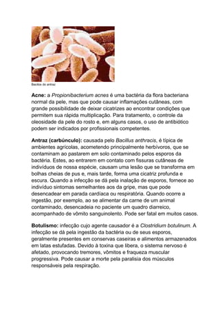 Bacilos do antraz

Acne: a Propionibacterium acnes é uma bactéria da flora bacteriana
normal da pele, mas que pode causar inflamações cutâneas, com
grande possibilidade de deixar cicatrizes ao encontrar condições que
permitem sua rápida multiplicação. Para tratamento, o controle da
oleosidade da pele do rosto e, em alguns casos, o uso de antibiótico
podem ser indicados por profissionais competentes.
Antraz (carbúnculo): causada pelo Bacillus anthracis, é típica de
ambientes agrícolas, acometendo principalmente herbívoros, que se
contaminam ao pastarem em solo contaminado pelos esporos da
bactéria. Estes, ao entrarem em contato com fissuras cutâneas de
indivíduos de nossa espécie, causam uma lesão que se transforma em
bolhas cheias de pus e, mais tarde, forma uma cicatriz profunda e
escura. Quando a infecção se dá pela inalação de esporos, fornece ao
indivíduo sintomas semelhantes aos da gripe, mas que pode
desencadear em parada cardíaca ou respiratória. Quando ocorre a
ingestão, por exemplo, ao se alimentar da carne de um animal
contaminado, desencadeia no paciente um quadro diarreico,
acompanhado de vômito sanguinolento. Pode ser fatal em muitos casos.
Botulismo: infecção cujo agente causador é a Clostridium botulinum. A
infecção se dá pela ingestão da bactéria ou de seus esporos,
geralmente presentes em conservas caseiras e alimentos armazenados
em latas estufadas. Devido à toxina que libera, o sistema nervoso é
afetado, provocando tremores, vômitos e fraqueza muscular
progressiva. Pode causar a morte pela paralisia dos músculos
responsáveis pela respiração.

 