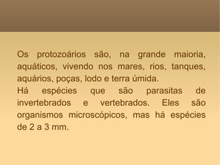 Os protozoários são, na grande maioria, aquáticos, vivendo nos mares, rios, tanques, aquários, poças, lodo e terra úmida.  Há espécies que são parasitas de invertebrados e vertebrados. Eles são organismos microscópicos, mas há espécies de 2 a 3 mm.  