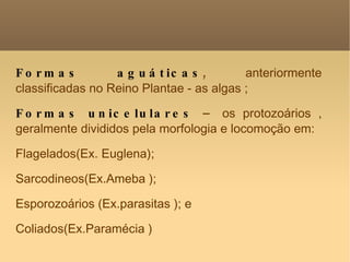 Formas aguáticas ,  anteriormente classificadas no Reino Plantae - as algas ; Formas unicelulares  –  os protozoários , geralmente divididos pela morfologia e locomoção em:  Flagelados(Ex. Euglena); Sarcodineos(Ex.Ameba ); Esporozoários (Ex.parasitas ); e Coliados(Ex.Paramécia )‏ 