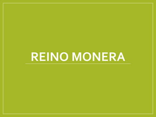 REINO MONERA
 