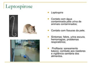 Leptospirose Leptospira Contato com água contaminada pela urina de animais contaminados; Contato com fissuras da pele; Sintomas: febre, urina escura, hemorragias, problemas respiratórios; Profilaxia: saneamento básico; combate aos roedores e vigilância sanitária dos alimentos. 