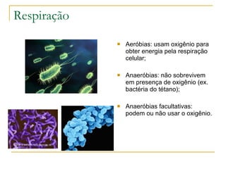 Respiração Aeróbias: usam oxigênio para obter energia pela respiração celular; Anaeróbias: não sobrevivem em presença de oxigênio (ex. bactéria do tétano); Anaeróbias facultativas: podem ou não usar o oxigênio. 