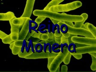 Reino Monera