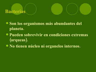 Bacterias Son los organismos más abundantes del planeta. Pueden sobrevivir en condiciones extremas (arqueas). No tienen núcleo ni organelos internos.
