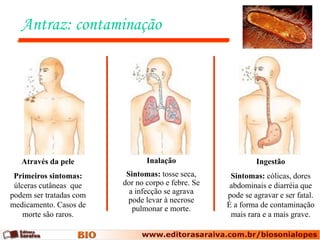 Antraz: contaminação




   Através da pele              Inalação                     Ingestão
 Primeiros sintomas:      Sintomas: tosse seca,      Sintomas: cólicas, dores
 úlceras cutâneas que    dor no corpo e febre. Se    abdominais e diarréia que
podem ser tratadas com     a infecção se agrava     pode se agravar e ser fatal.
                           pode levar à necrose
medicamento. Casos de       pulmonar e morte.       É a forma de contaminação
    morte são raros.                                 mais rara e a mais grave.
 