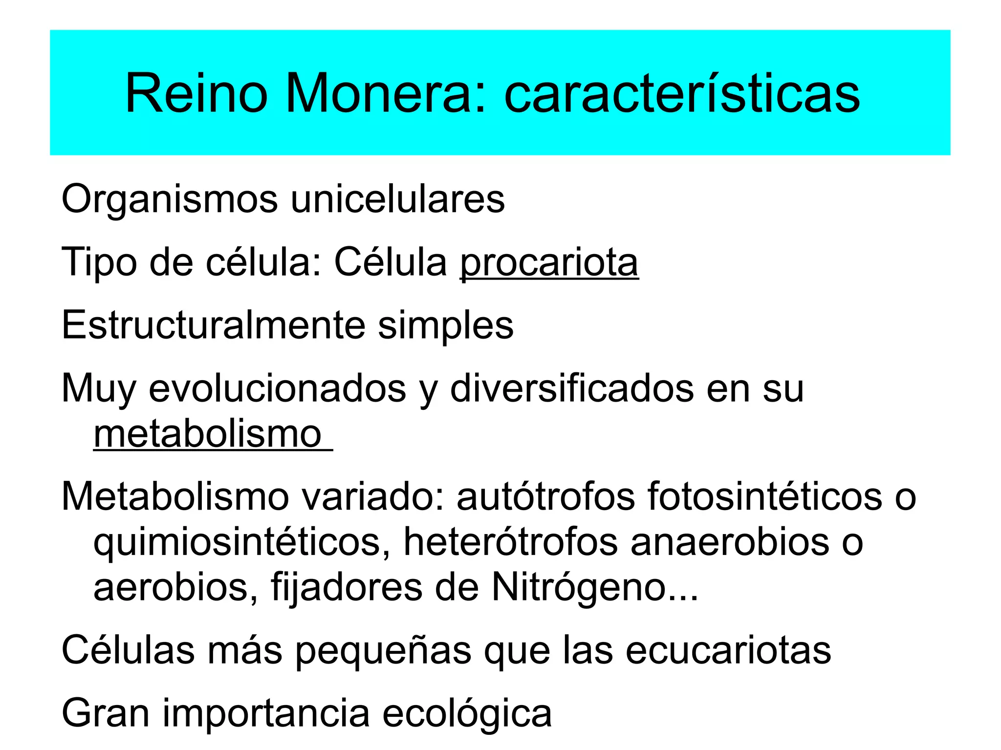 Reino Monera | ODP