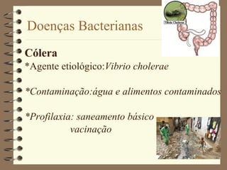 Cólera *Agente etiológico: Vibrio   cholerae *Contaminação:água e alimentos contaminados *Profilaxia: saneamento básico vacinação Doenças Bacterianas 