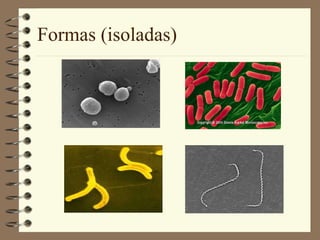 Formas (isoladas) 